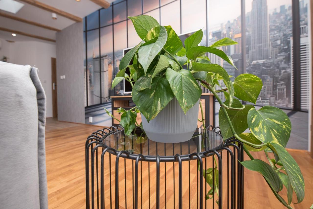 Apartament Mikolowska 2 グリヴィツェ エクステリア 写真